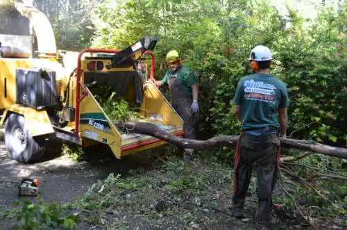 tree services New Pekin